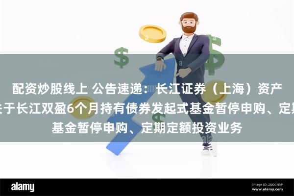 配资炒股线上 公告速递：长江证券（上海）资产管理有限公司关于长江双盈6个月持有债券发起式基金暂停申购、定期定额投资业务