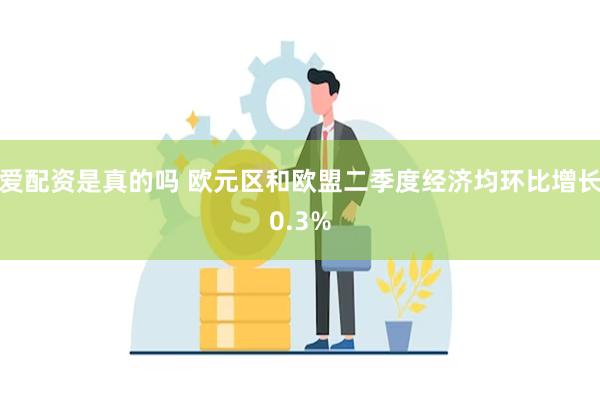 爱配资是真的吗 欧元区和欧盟二季度经济均环比增长0.3%