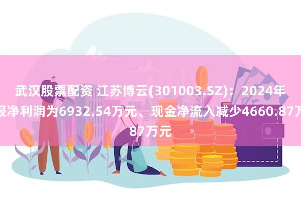 武汉股票配资 江苏博云(301003.SZ)：2024年中报净利润为6932.54万元、现金净流入减少4660.87万元