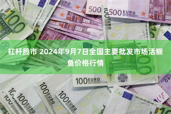 杠杆股市 2024年9月7日全国主要批发市场活鳜鱼价格行情