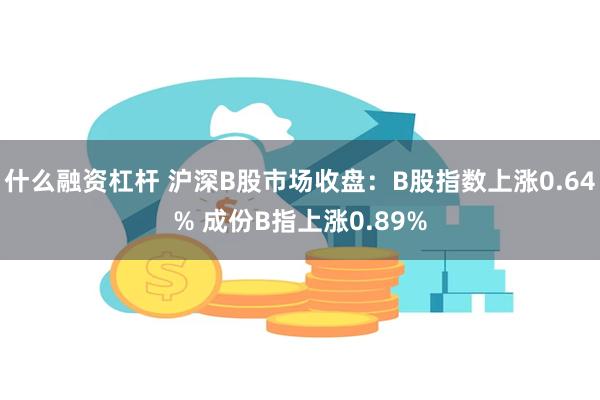 什么融资杠杆 沪深B股市场收盘：B股指数上涨0.64% 成份B指上涨0.89%