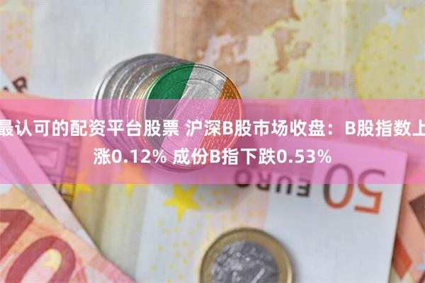 最认可的配资平台股票 沪深B股市场收盘：B股指数上涨0.12% 成份B指下跌0.53%