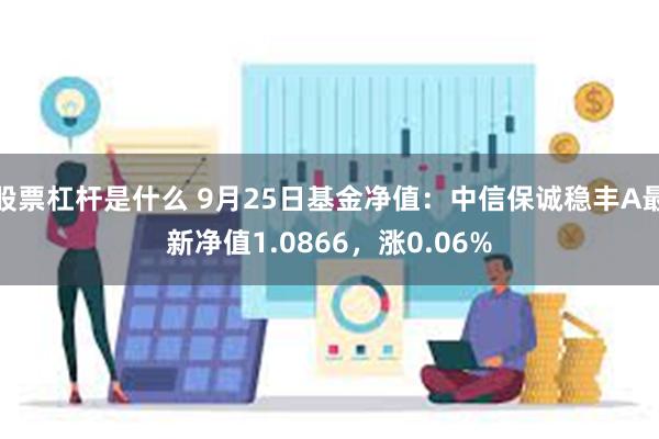 股票杠杆是什么 9月25日基金净值：中信保诚稳丰A最新净值1.0866，涨0.06%