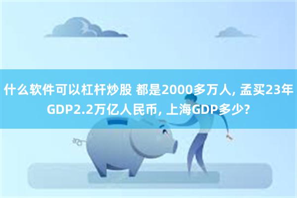 什么软件可以杠杆炒股 都是2000多万人, 孟买23年GDP2.2万亿人民币, 上海GDP多少?