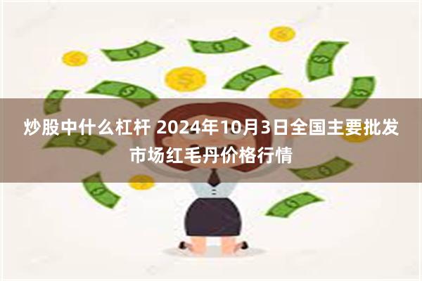 炒股中什么杠杆 2024年10月3日全国主要批发市场红毛丹价格行情