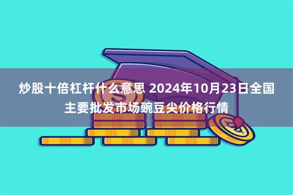 炒股十倍杠杆什么意思 2024年10月23日全国主要批发市场豌豆尖价格行情