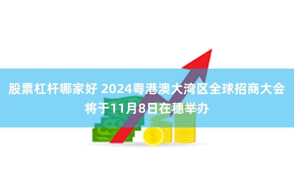 股票杠杆哪家好 2024粤港澳大湾区全球招商大会将于11月8日在穗举办