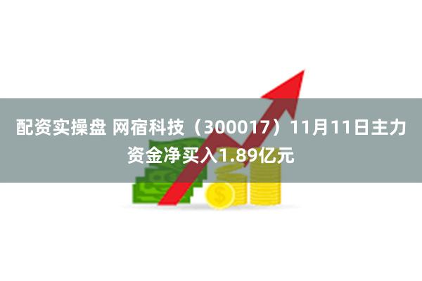 配资实操盘 网宿科技（300017）11月11日主力资金净买入1.89亿元