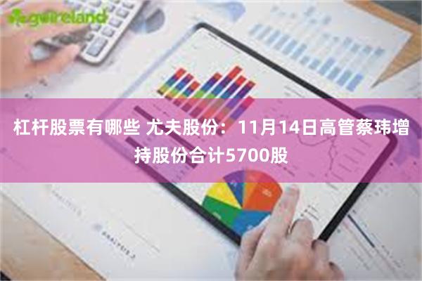 杠杆股票有哪些 尤夫股份：11月14日高管蔡玮增持股份合计5700股