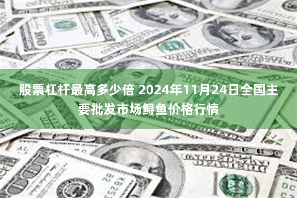 股票杠杆最高多少倍 2024年11月24日全国主要批发市场鲟鱼价格行情