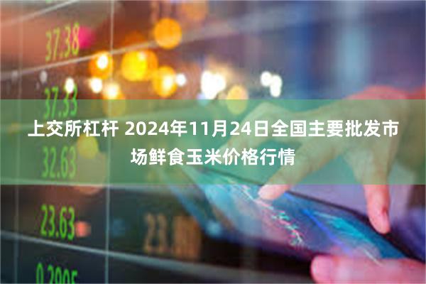 上交所杠杆 2024年11月24日全国主要批发市场鲜食玉米价格行情