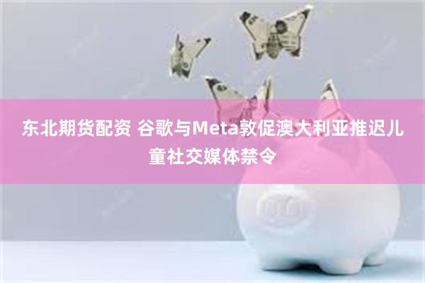 东北期货配资 谷歌与Meta敦促澳大利亚推迟儿童社交媒体禁令