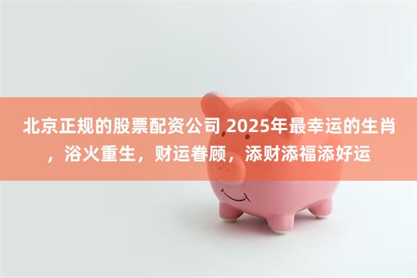 北京正规的股票配资公司 2025年最幸运的生肖，浴火重生，财运眷顾，添财添福添好运