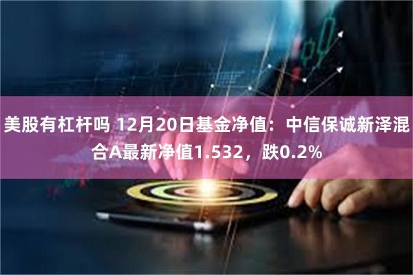 美股有杠杆吗 12月20日基金净值：中信保诚新泽混合A最新净值1.532，跌0.2%