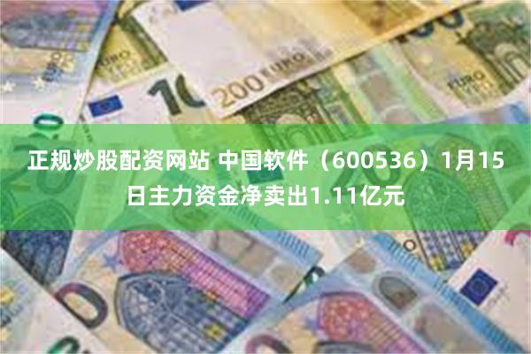 正规炒股配资网站 中国软件（600536）1月15日主力资金净卖出1.11亿元