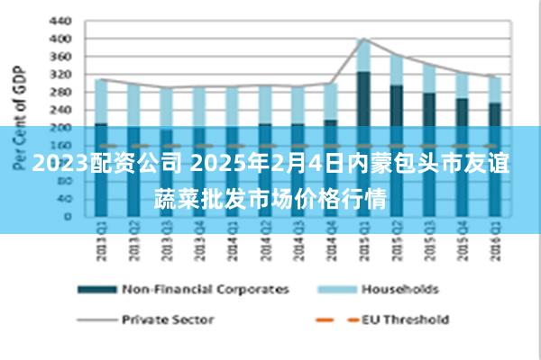 2023配资公司 2025年2月4日内蒙包头市友谊蔬菜批发市场价格行情