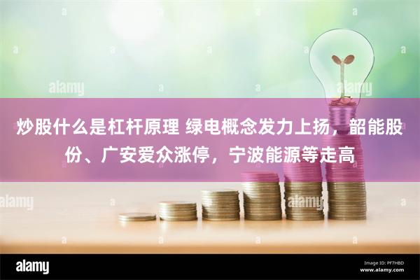 炒股什么是杠杆原理 绿电概念发力上扬，韶能股份、广安爱众涨停，宁波能源等走高